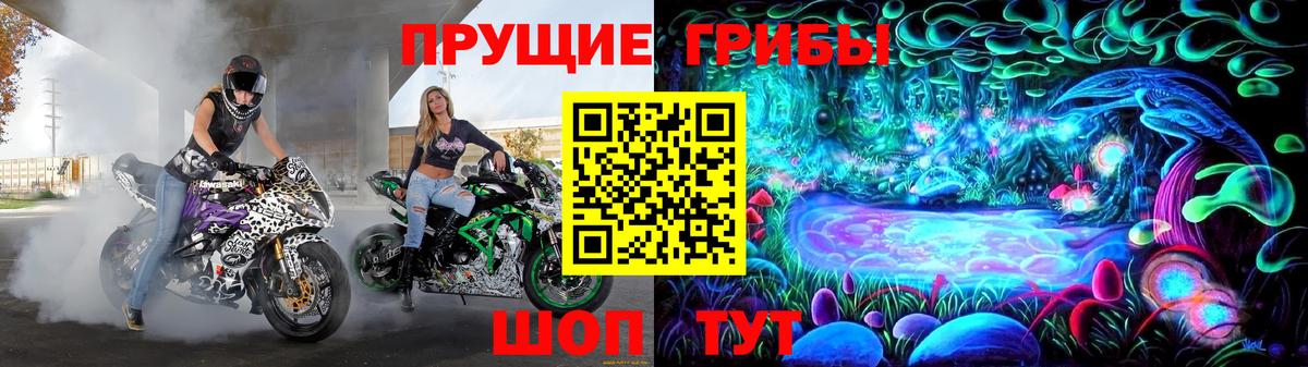 Псилоцибиновые грибы Magic Shrooms  Вход с VPN  Корсаков 
